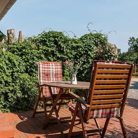 דירה Darsser Smuggler Hus 2 וויק