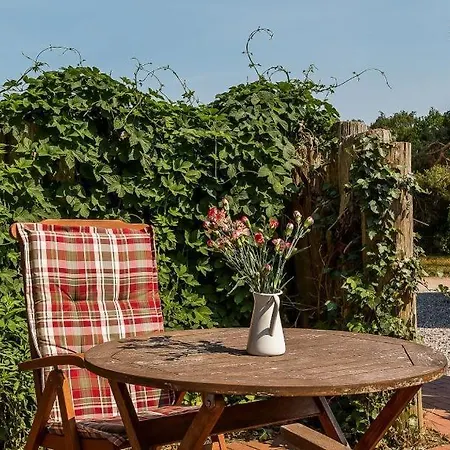 Darsser Smuggler Hus 2