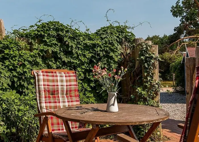 Darsser Smuggler Hus 2